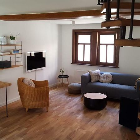Haus Zum Wilden Manne Villa Erfurt Bagian luar foto
