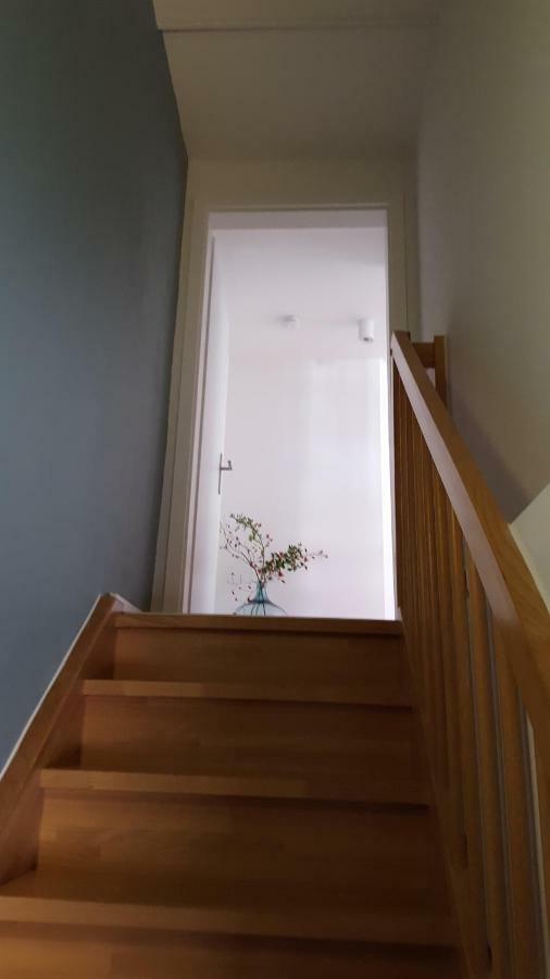 Haus Zum Wilden Manne Villa Erfurt Bagian luar foto